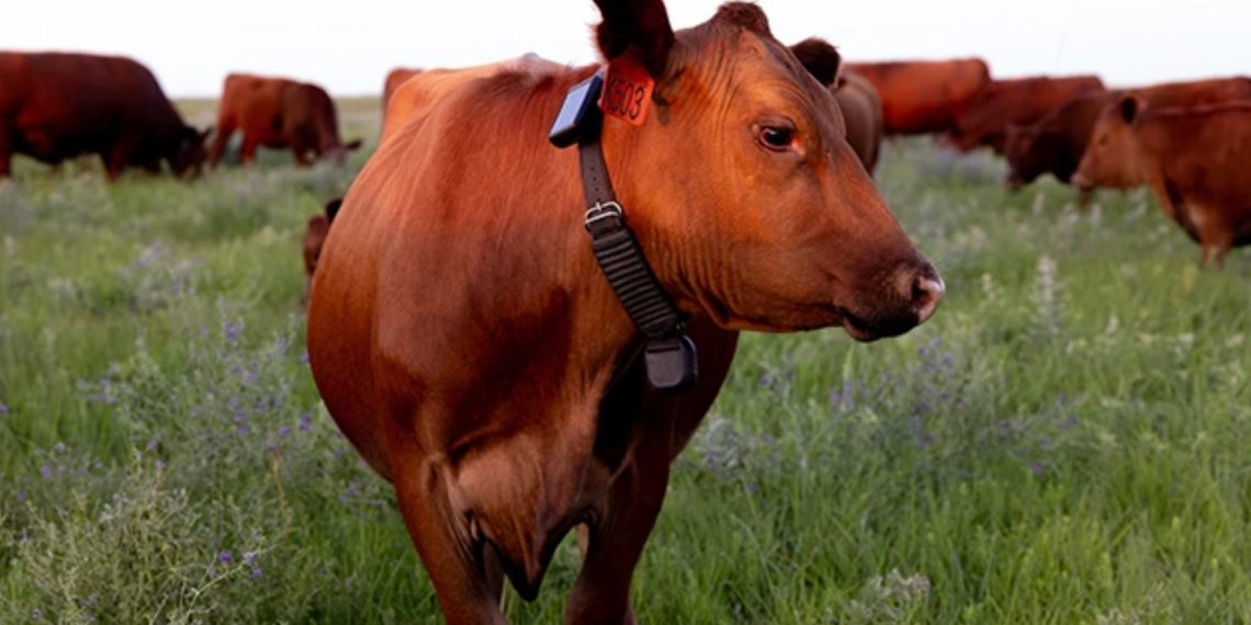 Tesla’s AI Pivot: The End of Model S and X Marks a New Era